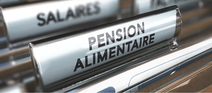 dossiers de pension alimentaire en droit de la famille